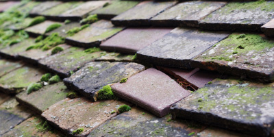 Bickley roof repair costs